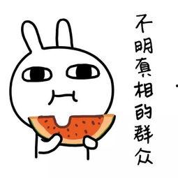 娱乐吃瓜酱语法,吃瓜群众揭秘幕后真相