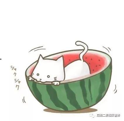 娱乐吃瓜群头像图片高清