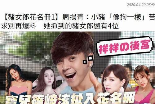 娱乐圈吃瓜张凌赫小说